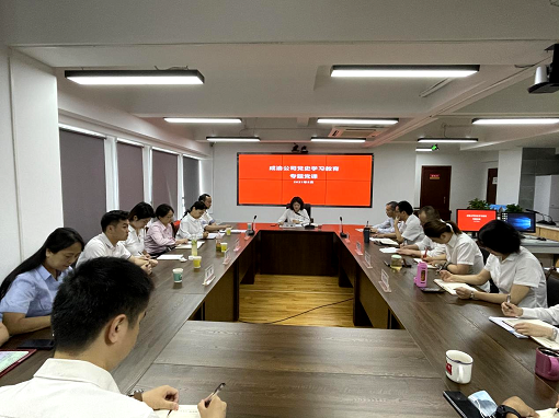 成渝公司黨委委員、工會(huì)主席、職工監(jiān)事李桃講授黨史學(xué)習(xí)教育專題黨課.png