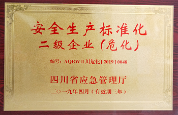 2019年四川省應(yīng)急管理廳安全生產(chǎn)標準化二級企業(yè).png